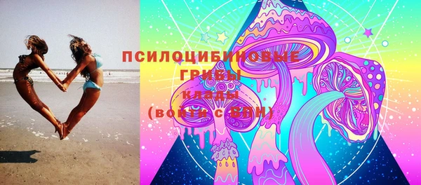 2c-b Алексин