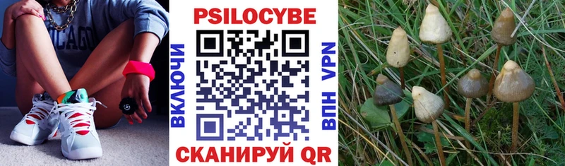 Галлюциногенные грибы мицелий кракен зеркало Калтан